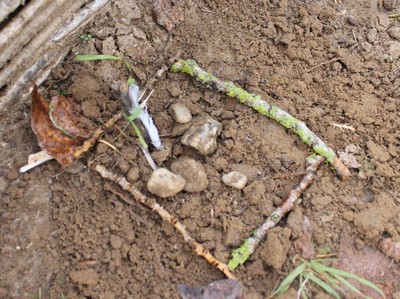 Les élèves repèrent l'endroit exact